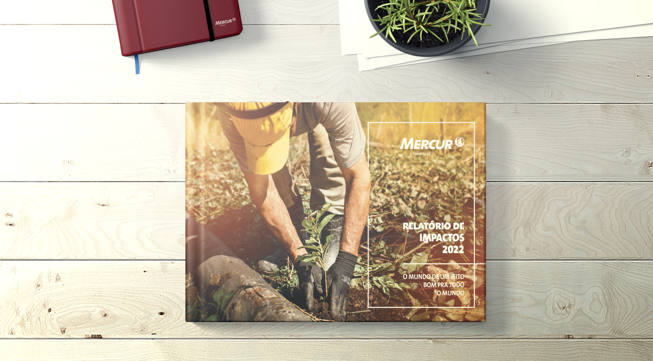 Cocriamos o primeiro relatório socioambiental da Mercur - Somos uma consultoria que projeta estratégias e culturas, que despertam o potencial de transformação das organizações. 